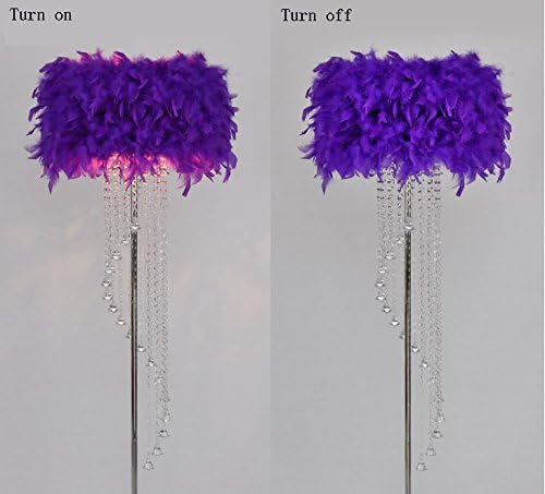 MENA HOME- Feather Floor Lamp Metal Crystal Tassel E27 LED Floor Light Classic Decorative Gift Living Room Wedding Room Bedroom Bedside ( Color : Dark Purple )