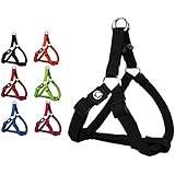 Hundegeschirr Step-In aus Air Mesh verschiedene Farben und Größen XS, S, M, L, XL: Brustgeschirr, Laufgeschirr, Führgeschirr, verstellbar, Zugentlastung, leicht, gepolstert, luftdurchlässig, atmungsaktiv, soft, weich, stark, stabil, farbig, für große und kleine Hunde by DDOXX (Leine und Halsband separat erhältlich) (Schwarz, M - 2,5 x 53-77 cm)