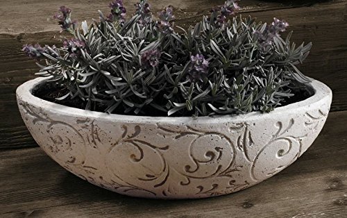 Pflanz-Schale „Ranken“ - 2