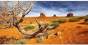 AWERT 60x24 inches Reptile Habitat Background Orange Desert Terrarium Background Durable Polyester Background