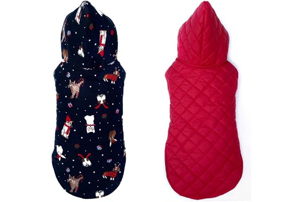 Pets planet Dog Winter Clothes Reversible Dogs Hoodie Jacket Cat Printed Blue Color Design Warm Dog Coat Windproof Pets Cold Weather Wearing (S, 14 Inch)