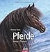Pferde 2014 by