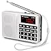 Produktbild PRUNUS L-258SW Portable Radio mit SW/UKW FM/AM(MW)/SD/TF/USB(0-64 GB) MP3 Basslautsprecher(Keine manuelle Einsparung von Radio Station-Funktion)