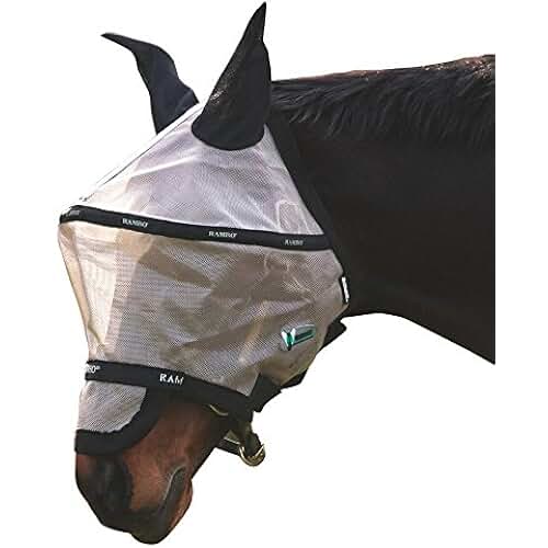 Amazon.co.uk oats for horses