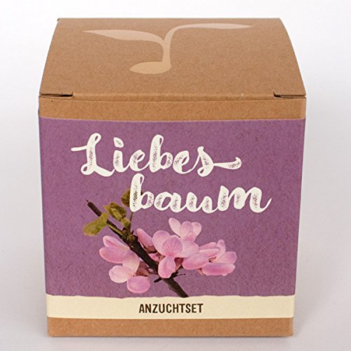 Geschenk-Anzuchtset Liebesbaum - 2