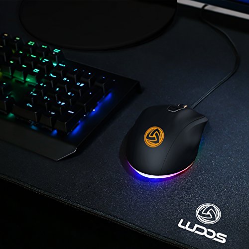LUDOS FLAMMA Rat  n Gaming RGB 10 000 DPI 7 Botones Programables Gaming Mouse Rat  n de Videojuegos USB Ergon  mico con Cable  con   Software Espa  ol   Interruptores Omron  8 Niveles de DPI Ajustables  500-10 000  y Retroiluminaci  n RGB para Jugadores de PC o Port  til