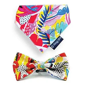 Goofy Tails X Design Chefz Abstract Flora Bow + Bandana Combo for Dogs & Cats (Multicolor) (Large)
