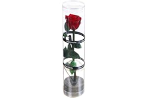 VEGTRUG Dewanxin Rosa Eterna,Rosa Natural Preservada,para Decoración del Hogar Boda San Valentín Día de la Madre Navidad Aniversario Cumpleaños - Roja (Deep Red)