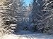 Produktbild Poster-Bild 90 x 70 cm: "Winter forest", Bild auf Poster