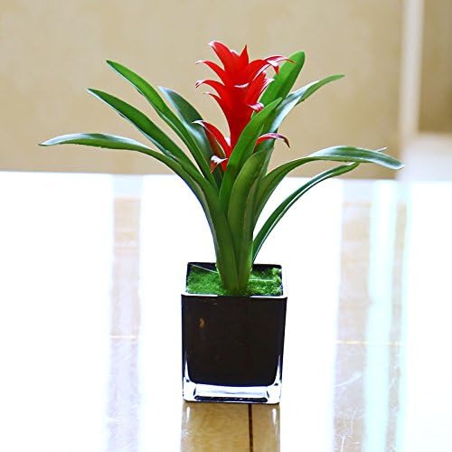 Artificial flowers Home Living Room Decor Dining Table Bonsai Silk Flower Kit Red Plants Black Glass Flowerpots SCFLOWER