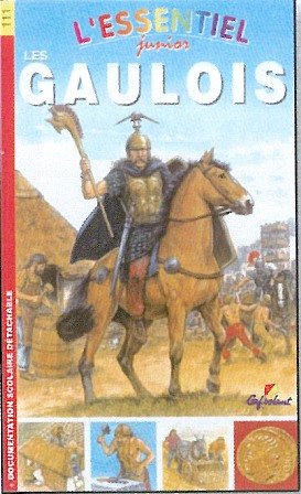 couverture de : Les gaulois
