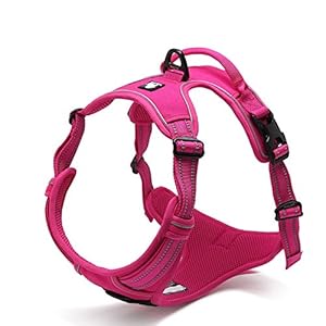 Petcomer Arnés para Mascota Ajustable sin tirones con 3 m Reflectante Suave Acolchado asa Resistente para Entrenamiento o Caminar