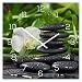 Produktbild Wanduhr aus Glas 30x30cm Uhr als Glasbild Küche Bambus FengShui Wellness Deko