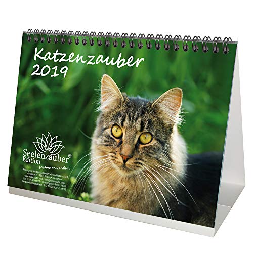 Download Chat Magique – DIN A5 – Premium Calendrier de bureau/calendrier 2019 – Chat – Coffret cadeau avec 1 carte de vœux et 1 carte de Noël – Édition âme magique