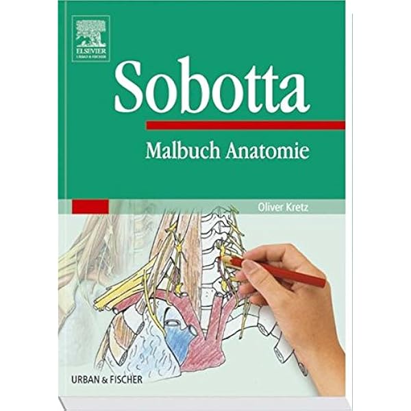Sobotta Malbuch Anatomie : Kretz, Oliver, Keller, Holger: Amazon
