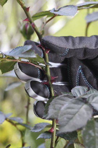 Gardena 0216-20 Strauchpflegehandschuh, 7 / S - 3