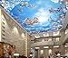 Produktbild Kuamai Benutzerdefinierte 3D Blauer Himmel Weiße Wolken Kirsche Decke Dach Wandbilder Wallpaper Wohnzimmer 3D Wallpaper Home Dekoration-120X100cm