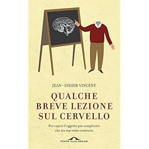 Qualche breve lezione sul cervello: Per capire l'oggetto più complicato che sia mai stato costruito