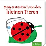 Image de Mein erstes Buch von den kleinen Tieren