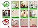 Winhappyhome Wall Stickers Dragon Animal Zoo Children Bedroom Kindergarten Background Removable Decals