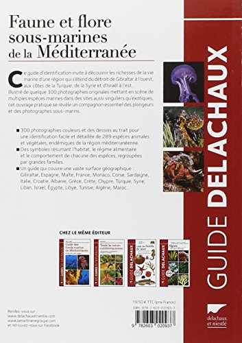 Faune et flore sous-marines de la Méditerranée