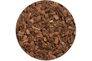 NATURAVIVA BASSANO BIO Bark Corteccia Naturale substrato terrario per rettili, Anfibi, aracnidi, lumache, Piante (1 kg)