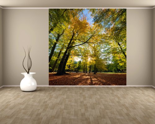 Selbstklebende Fototapete - Blätterfall im Herbst - 150x150 cm - Wandtapete – Poster – Dekoration – Wandbild – Wandposter - Bild – Wandbilder - Wanddeko