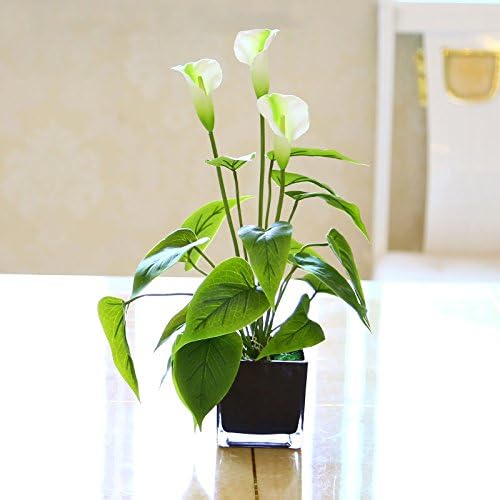 Artificial flowers Home Living Room Decor Dining Table Bonsai Silk Flower Kit Hoofs Of White Lotus Flower Pot Black Glass SCFLOWER