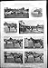 Produktbild Antiker Druck von den KristallPalast-Polo-Pony-Show-Richtern, die Sieger-Stuten-Colt 1900 Verkaufen