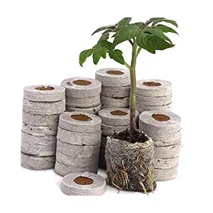 COIR GARDEN Coir Fiber Seed Germination Kit, Natural Brown, 4x4x1 cm, 100 Piece.