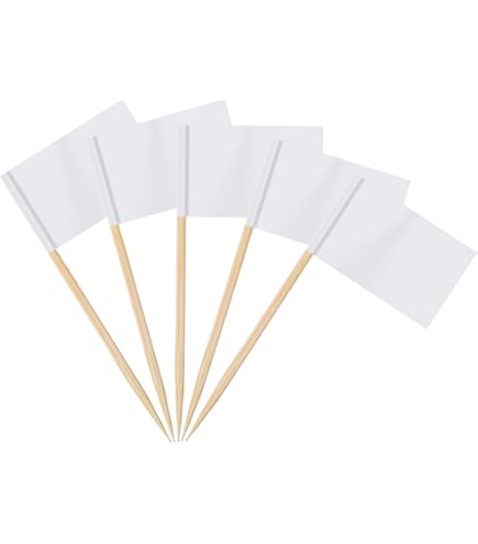Drapeau Des Cure-Dents,100PCS Marqueurs De Fromage Marqueurs Étiquettes