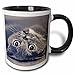 Produktbild Mensuk TNMGraphics Animals - Upside Down Cat - 11oz Two-Tone Black Mug (mug_23485_4)