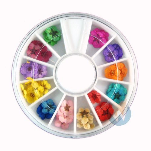 Nail Art Accessories Real Dry Dried Flowers 12 Colors Bundle Set in Wheel - Ready to Use by Winstonia by Winstonia
