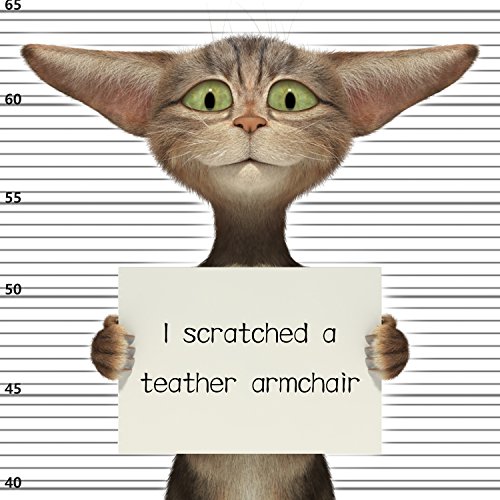 PetIsay-Protection-de-Meubles-pour-Chat-Contre-Les-griffures-et-Les-Griffes-pour-canap-et-Table