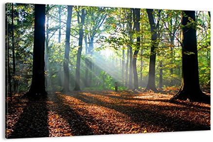ARTTOR Wall Art Decoration Forest Leafs Sun Canvas Print 120x80cm Canvas Picture Framed Living Room Bedroom Kitchen Printed Modern Artwork Large XXL Home Decor Photo Gallery AA120x80-0136