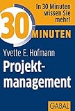 Image de 30 Minuten Projektmanagement