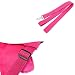 Urassistant Baby Safety Harness Belt Backpack Style Walking Belt Child Kid Leash Helper Strap (Pink)