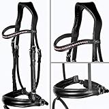 Größe: Warmblut / Full, Vollblut / Cob