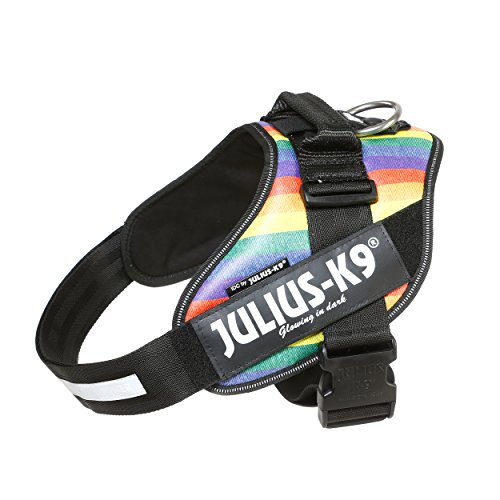 Julius K9 16idc Jrbw Idc Powerharness Dog Harness Size