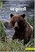 Le grizzli