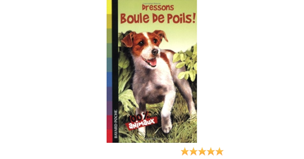 Amazon Fr 100 Animaux Tome 04 Dressons Boule De Poils Fournier Guillaume Livres
