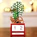 Produktbild Pottoa Weihnachten Mini Wooden Calendar Xmas Ornament Home Decoration Craft Geschenk Craft Geschenk HolzanhäNger Hotel Bar Decor