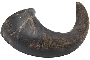 Express Pet Supplies Medium Buffalo Horn 5 Pack Dog Treat Chew
