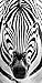 Produktbild Startonight Glasbild Zebra, Bild auf Acrylglas Muster Modern Dekoration Fertig zum Aufhängen 40 x 120 cm