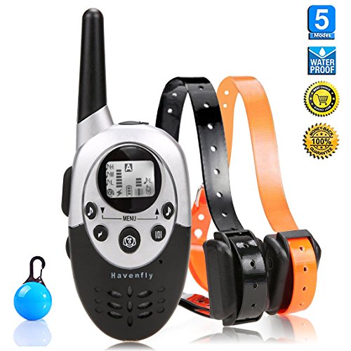 [Neue Version] Buydaly 1000 Yards Wasser Beweis wiederaufladbare einstellbare Hundeschulen Kragen wasserdicht Ausbildung Kragen verstellbar E Hundehalsband mit Funkfernbedienung