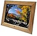 Produktbild Braun Phototechnik DigiFrame 1587" Holzrahmen aus massiver Buche