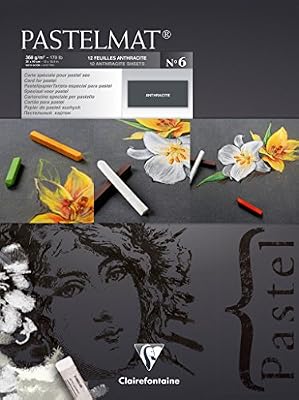Clairefontaine 96050C - Un bloc encollé Papier Pastelmat 12 feuilles 30x40 cm 360g, Anthracite