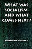 Image de What Was Socialism, and What Comes Next? (Princeton Studies in Culture/Power/History)
