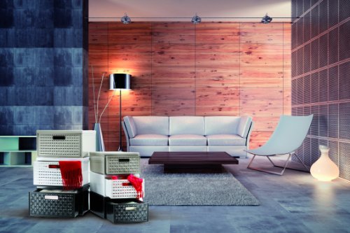 Rotho Schubladenbox Country in Rattan-Optik aus Kunstoff (PP): schwarze Aufbewahrungsbox der Größe 35x26x14.5 cm, Volumen der Ablagebox 8.3 l, als Schubladeneinsatz oder Schubladensystem geeignet - 2