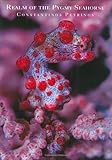Image de Realm of the Pygmy Seahorse: An Underwater Photography Adventure